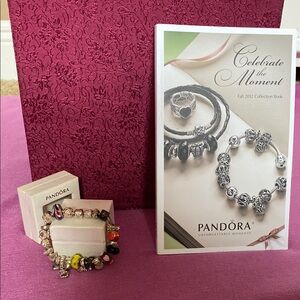 Pandora Multicolor Charm Bracelet
